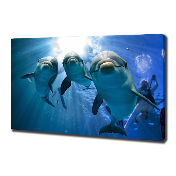 Canvas wall art Three dolphins