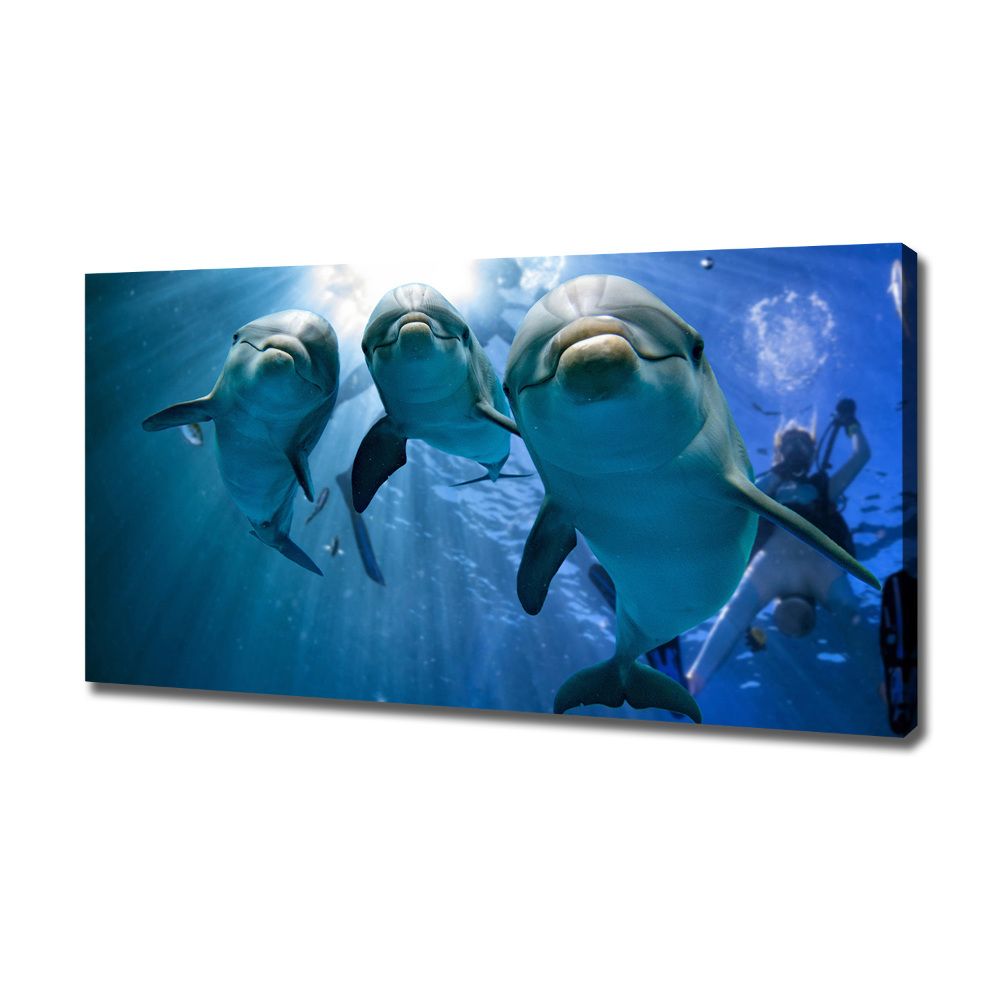 Canvas wall art Three dolphins