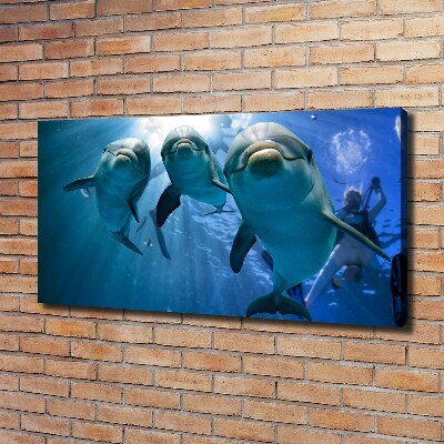 Canvas wall art Three dolphins