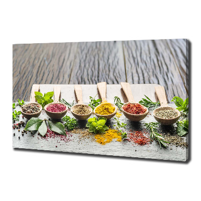 Canvas wall art Colorful spices