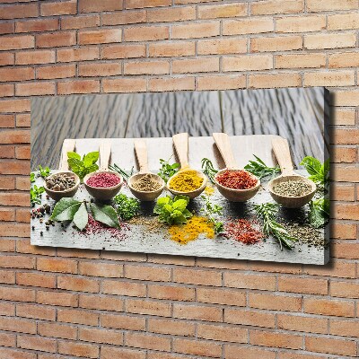 Canvas wall art Colorful spices