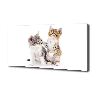 Canvas wall art Two little cats