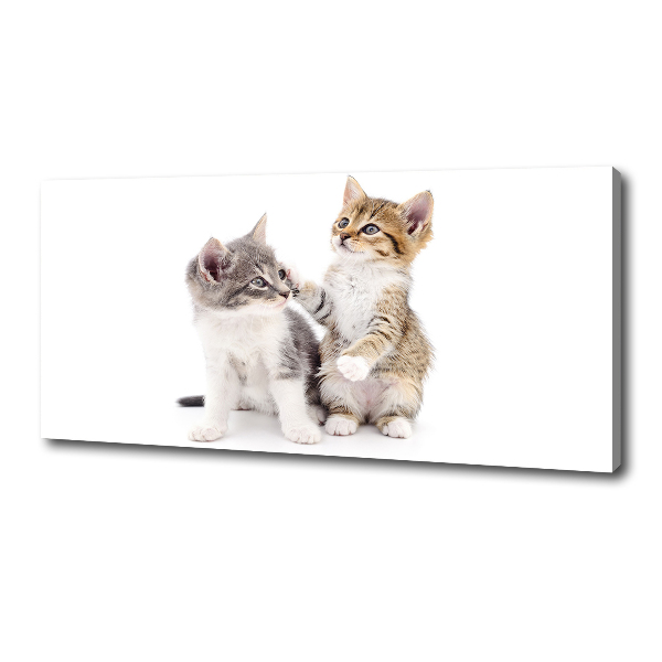 Canvas wall art Two little cats