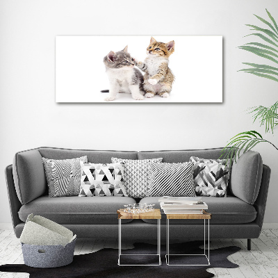 Canvas wall art Two little cats