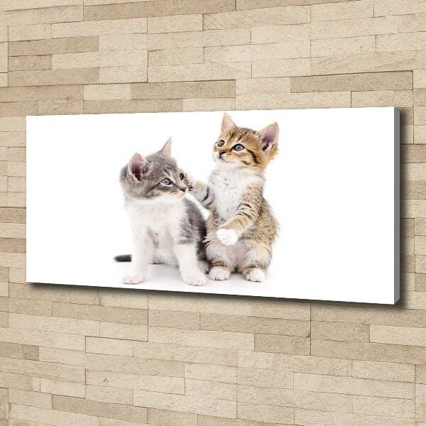 Canvas wall art Two little cats