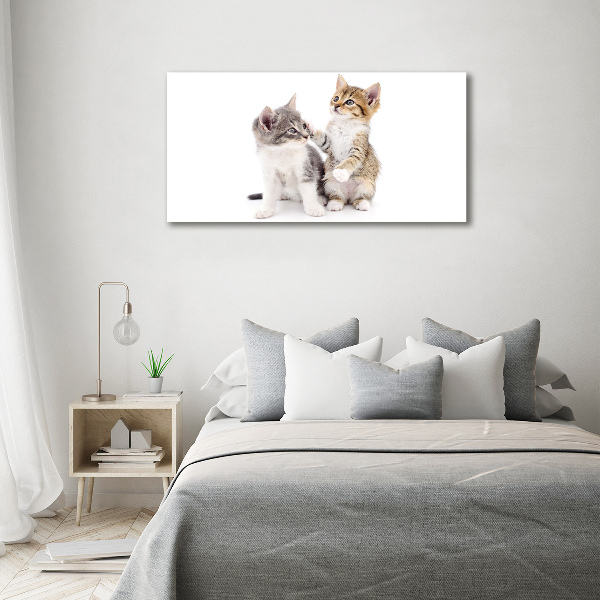 Canvas wall art Two little cats