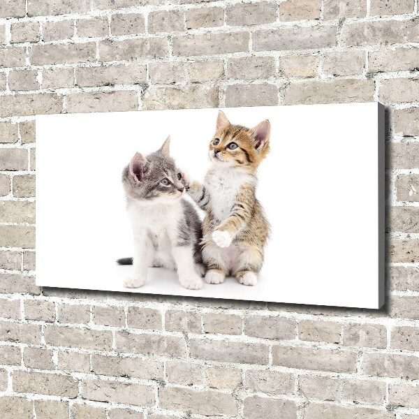 Canvas wall art Two little cats