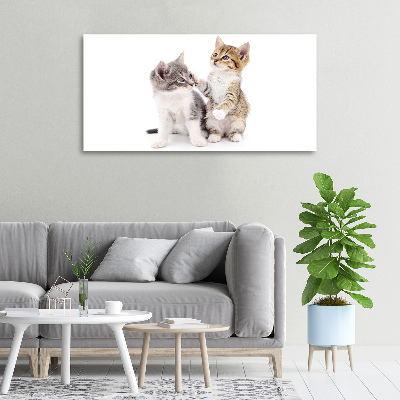 Canvas wall art Two little cats