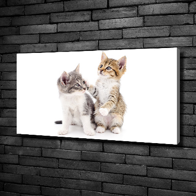 Canvas wall art Two little cats