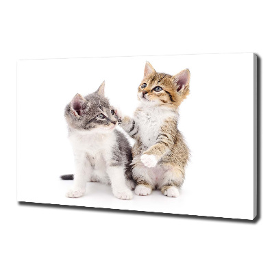 Canvas wall art Two little cats