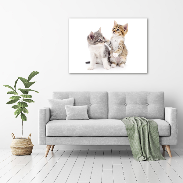 Canvas wall art Two little cats