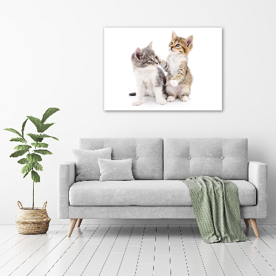 Canvas wall art Two little cats