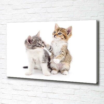 Canvas wall art Two little cats