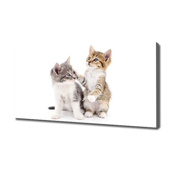 Canvas wall art Two little cats