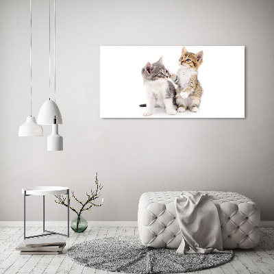 Canvas wall art Two little cats