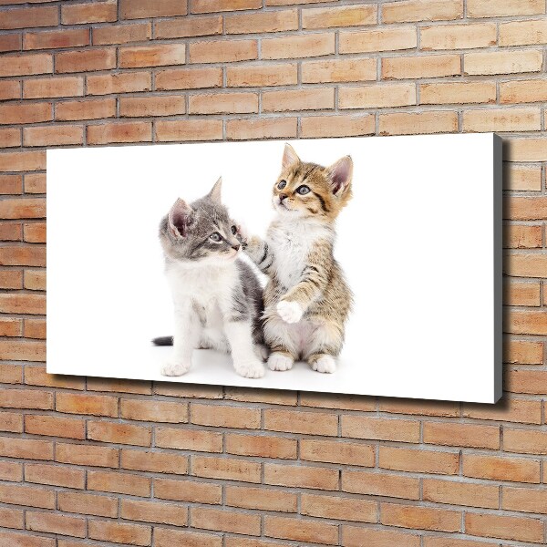 Canvas wall art Two little cats