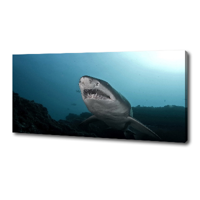 Canvas wall art Large shark