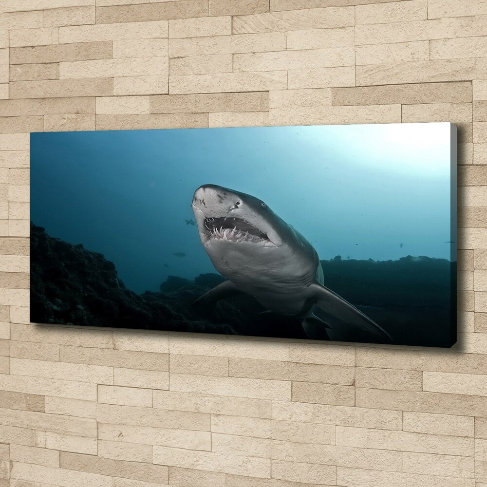 Canvas wall art Large shark