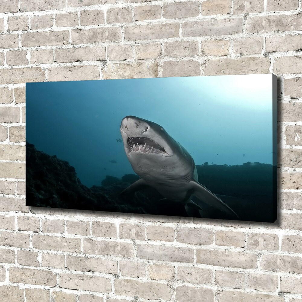 Canvas wall art Large shark