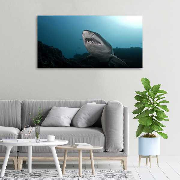 Canvas wall art Large shark