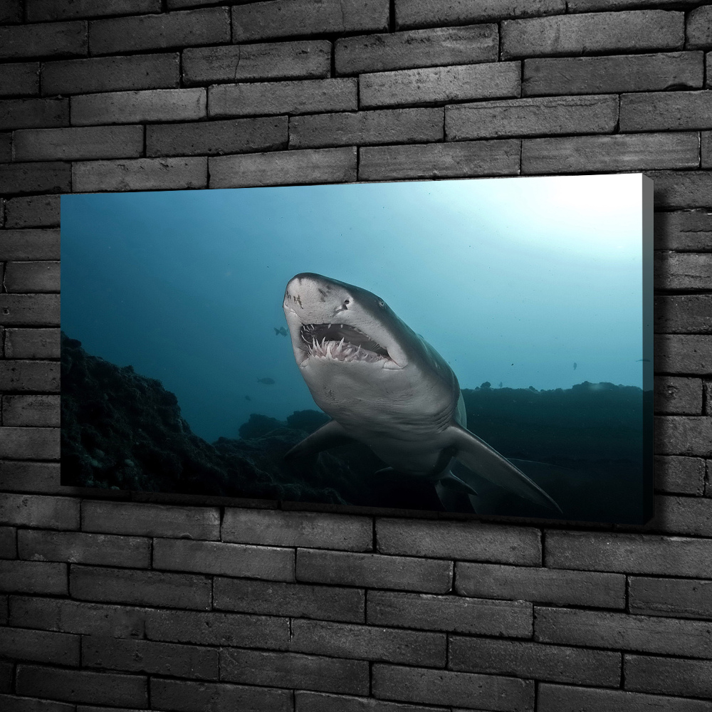 Canvas wall art Large shark