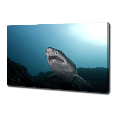 Canvas wall art Large shark