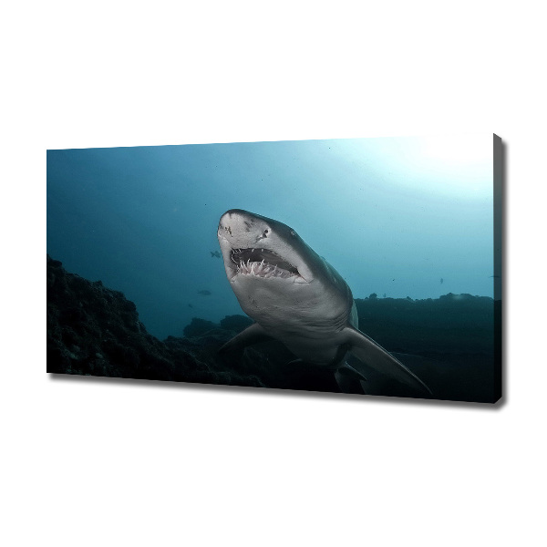 Canvas wall art Large shark