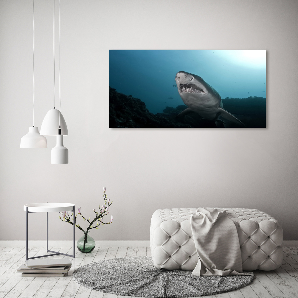 Canvas wall art Large shark