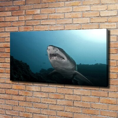 Canvas wall art Large shark