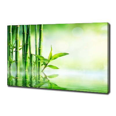 Canvas wall art Bamboo