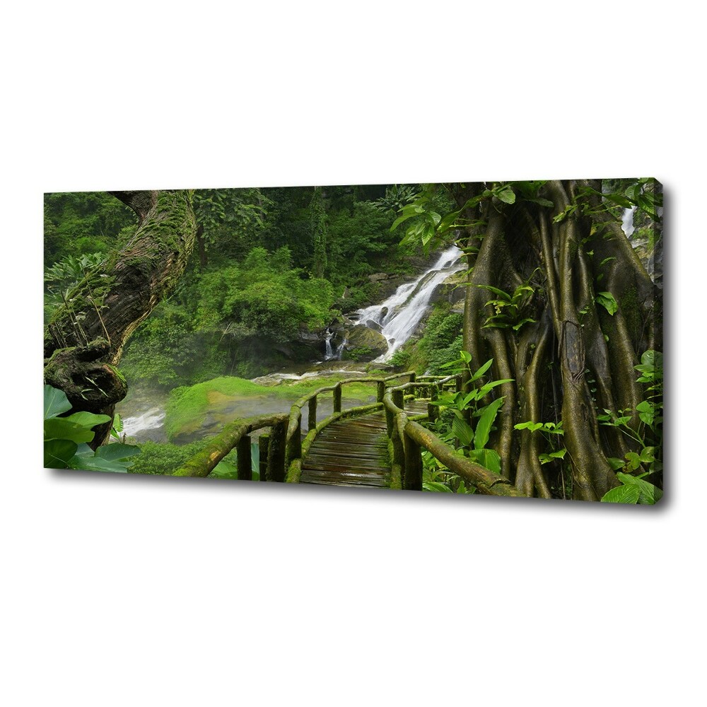 Canvas wall art Waterfall in the jungle