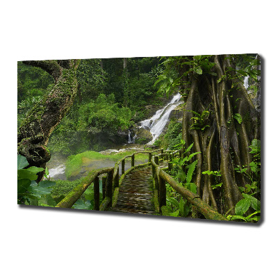 Canvas wall art Waterfall in the jungle