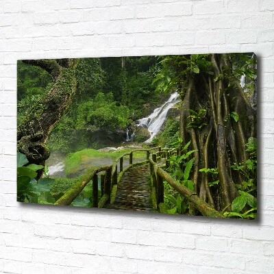 Canvas wall art Waterfall in the jungle