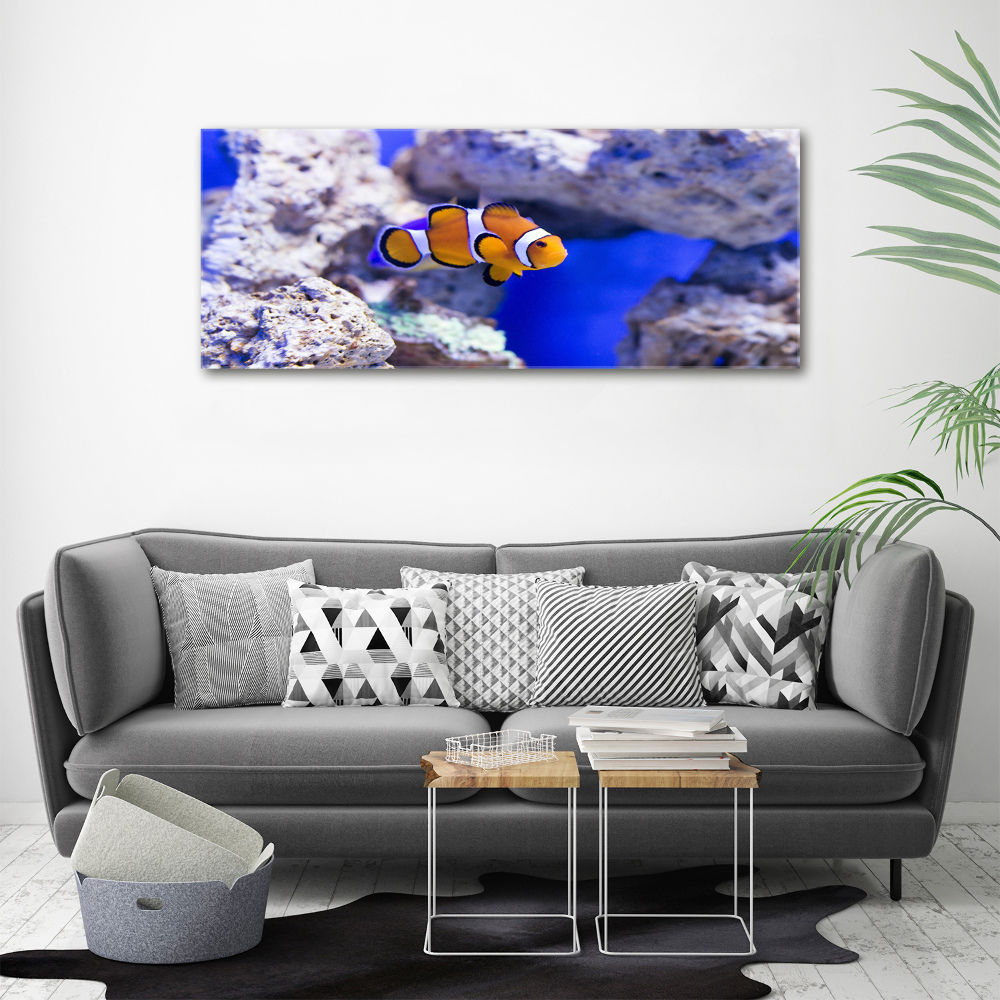 Canvas wall art Coral reef clowns