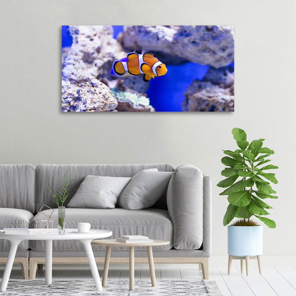 Canvas wall art Coral reef clowns