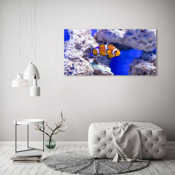 Canvas wall art Coral reef clowns