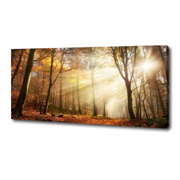 Canvas wall art Fog in the forest