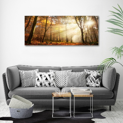 Canvas wall art Fog in the forest