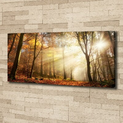 Canvas wall art Fog in the forest