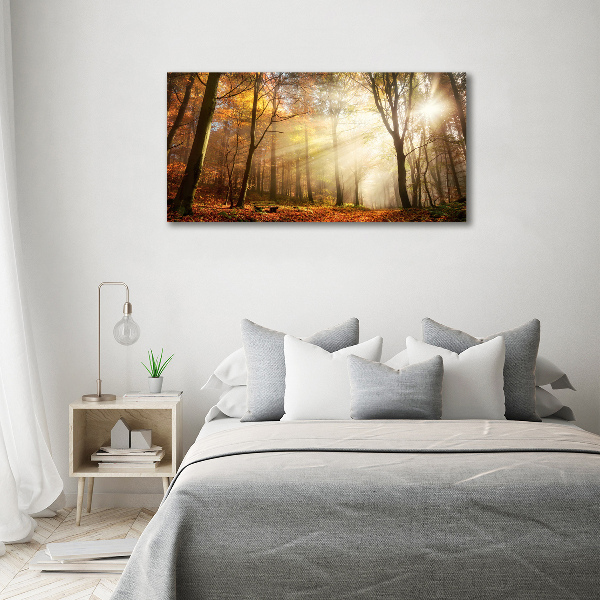 Canvas wall art Fog in the forest