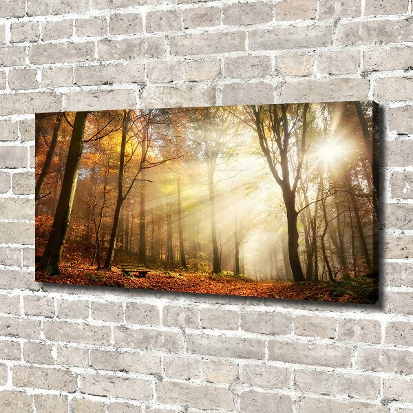 Canvas wall art Fog in the forest