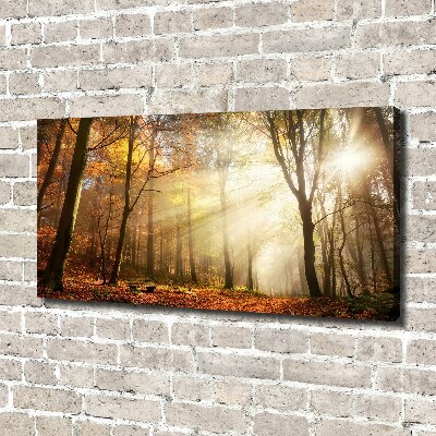 Canvas wall art Fog in the forest