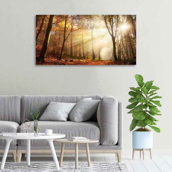 Canvas wall art Fog in the forest