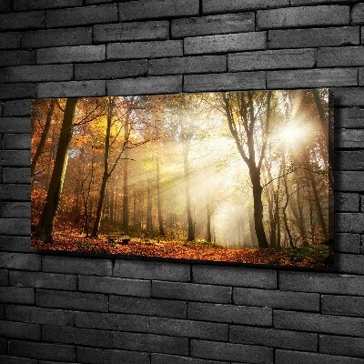 Canvas wall art Fog in the forest