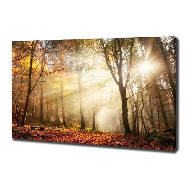 Canvas wall art Fog in the forest