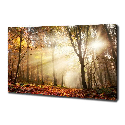 Canvas wall art Fog in the forest