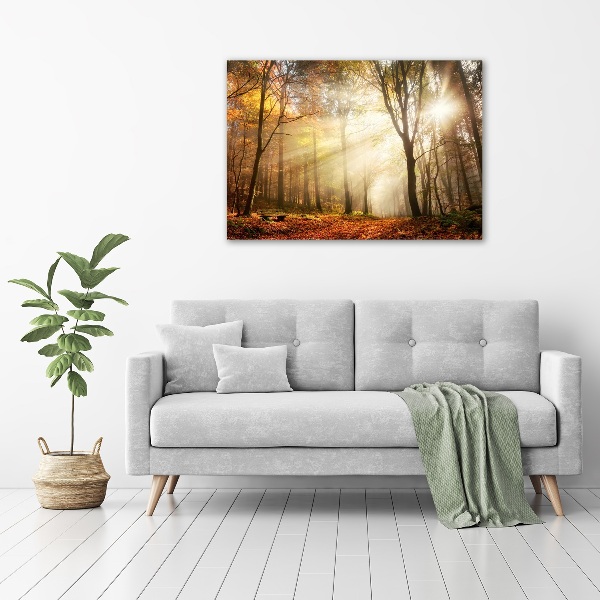 Canvas wall art Fog in the forest