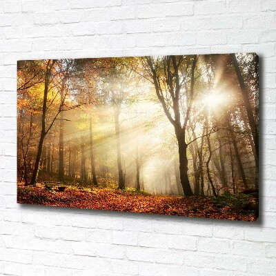 Canvas wall art Fog in the forest