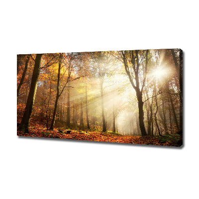 Canvas wall art Fog in the forest