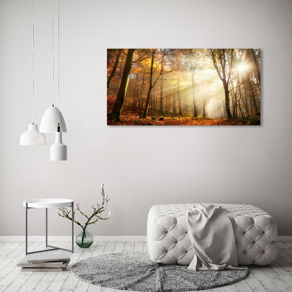 Canvas wall art Fog in the forest